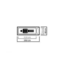 Miniatura Carpa Litetrek I