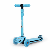 Scooter Maxi Pro